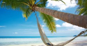 Going Troppo – Phuket or Koh Samui?